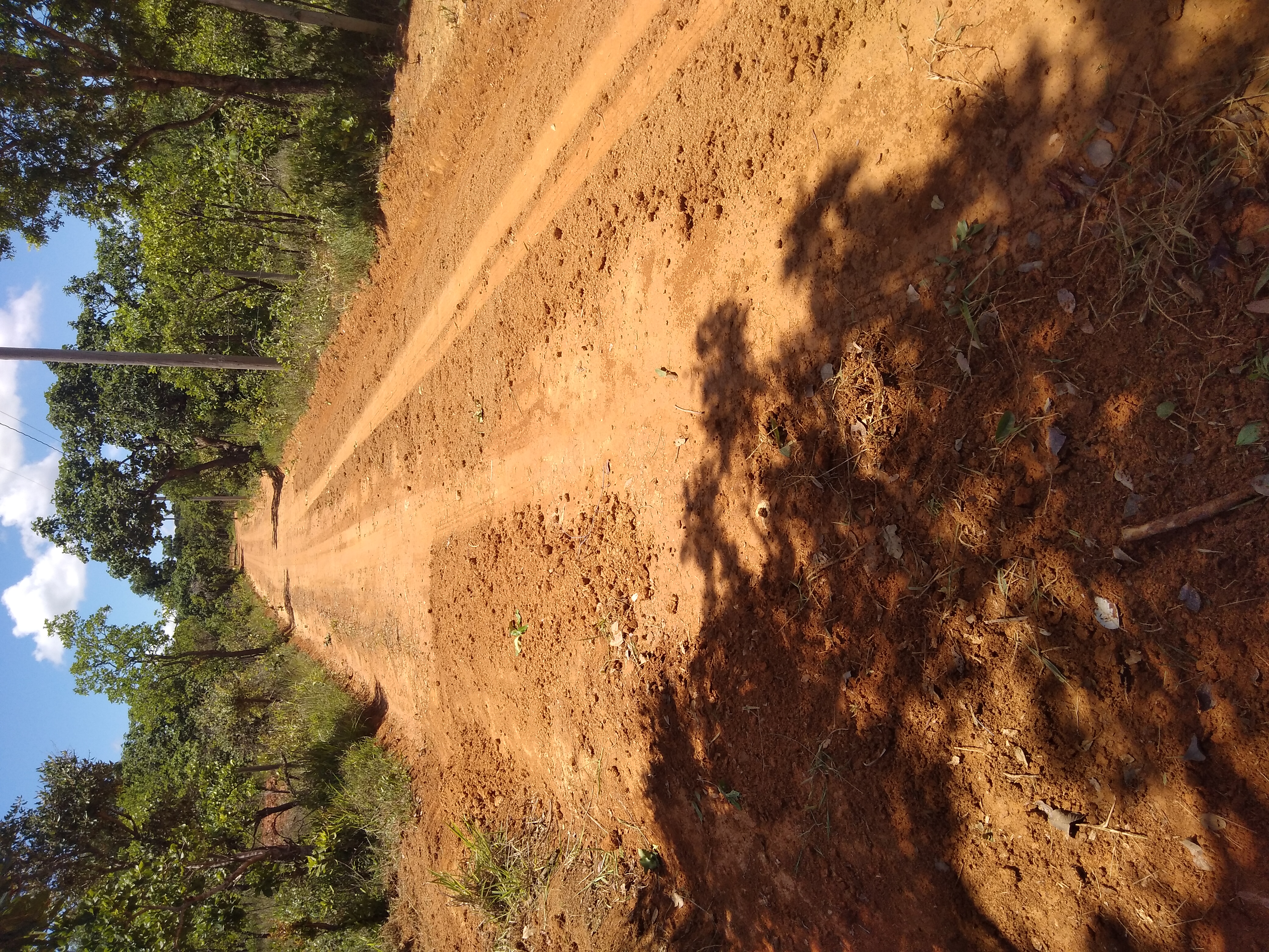 IMG_20201219_111318 IMG_20201219_111318