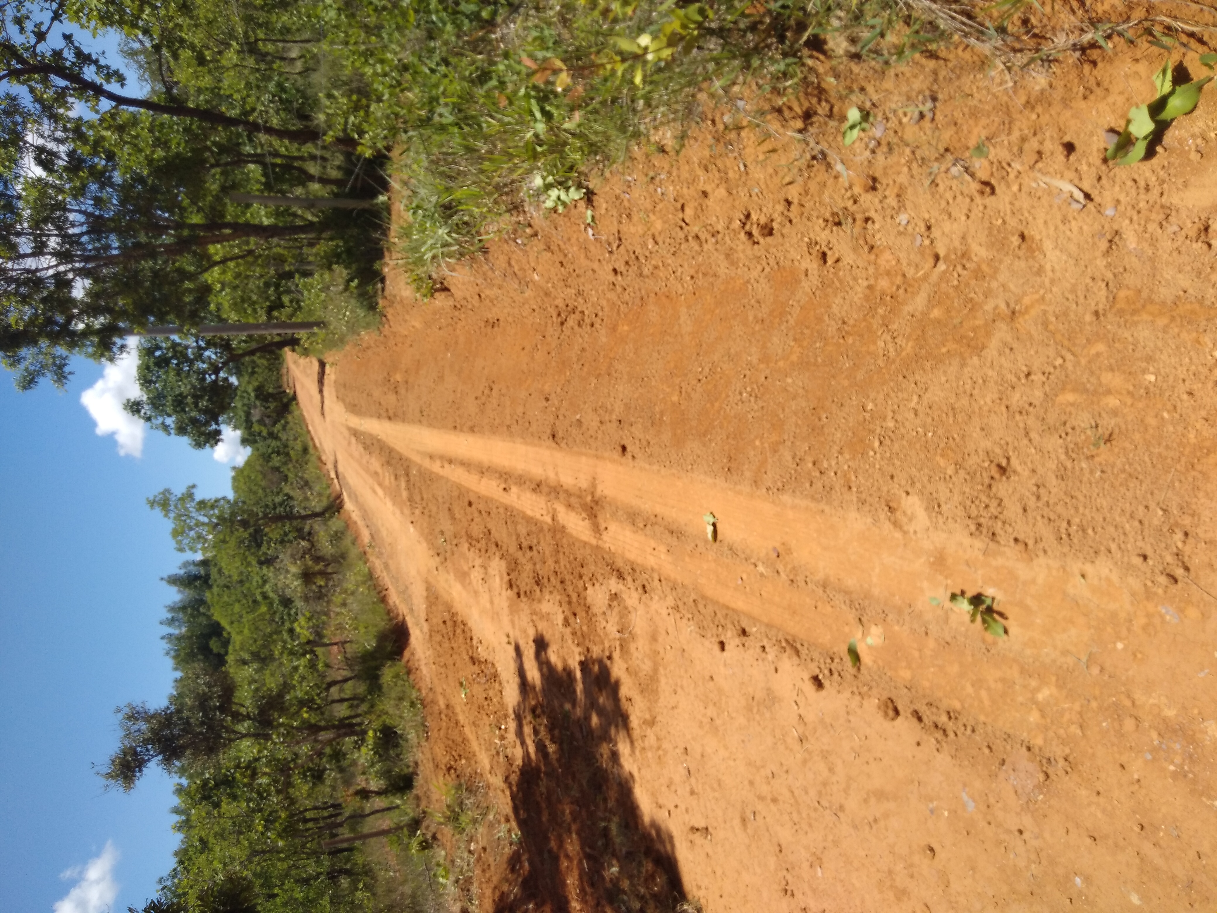 IMG_20201219_111326 IMG_20201219_111326