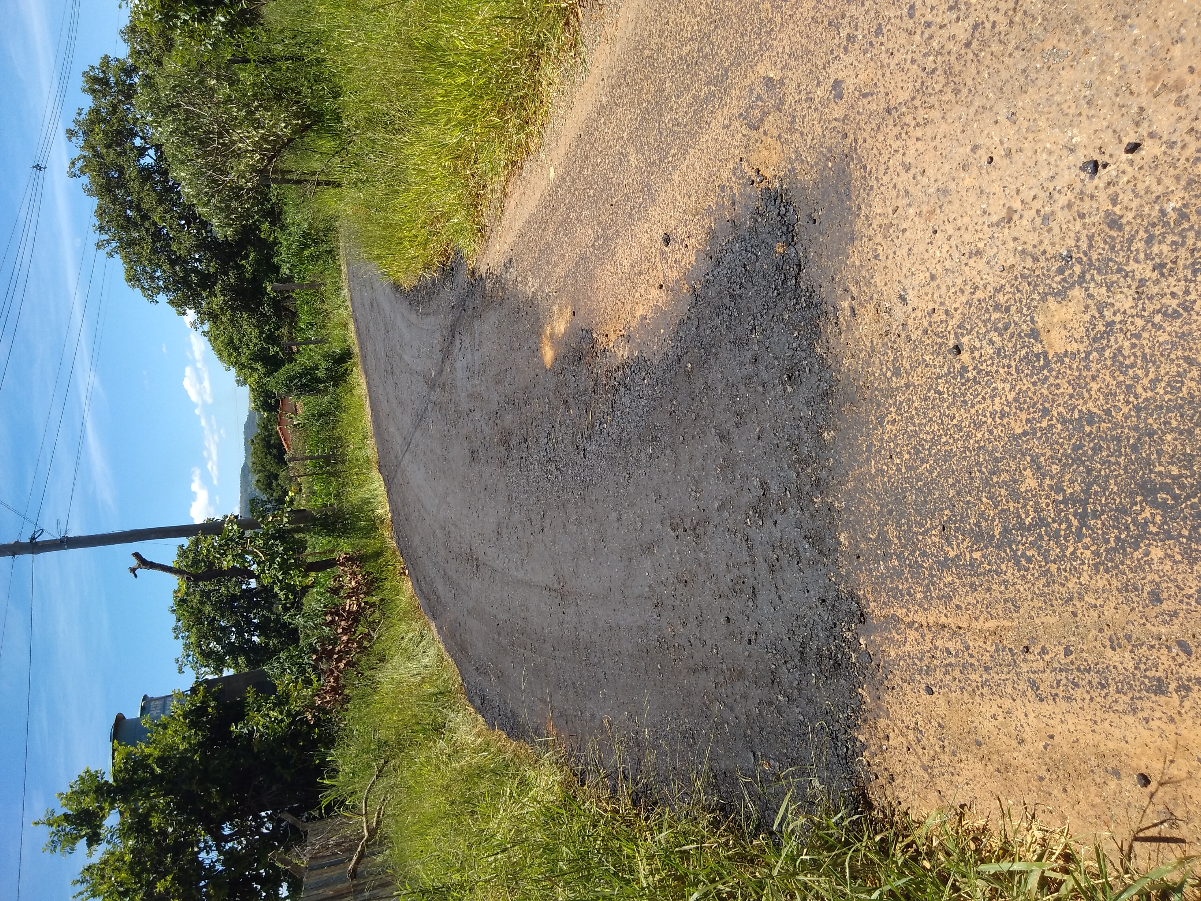 IMG_20210128_114055 IMG_20210128_114055