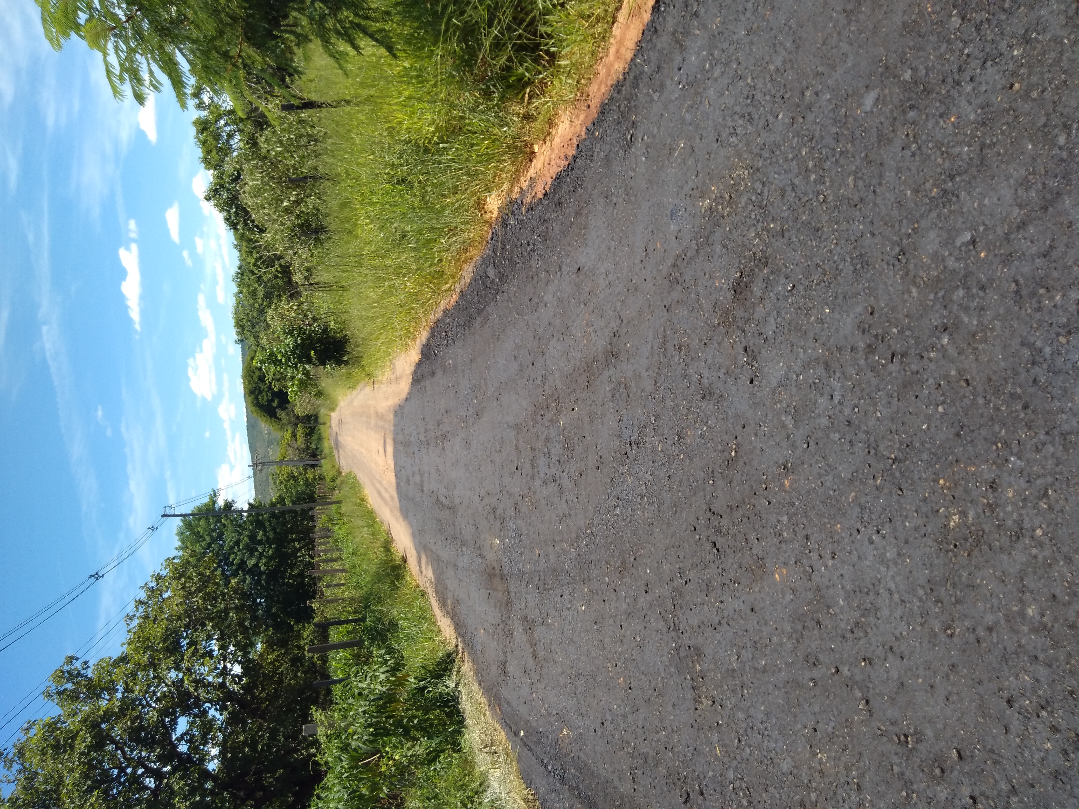 IMG_20210128_114109 IMG_20210128_114109