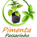 Pimenta Passarinho Pimenta Passarinho